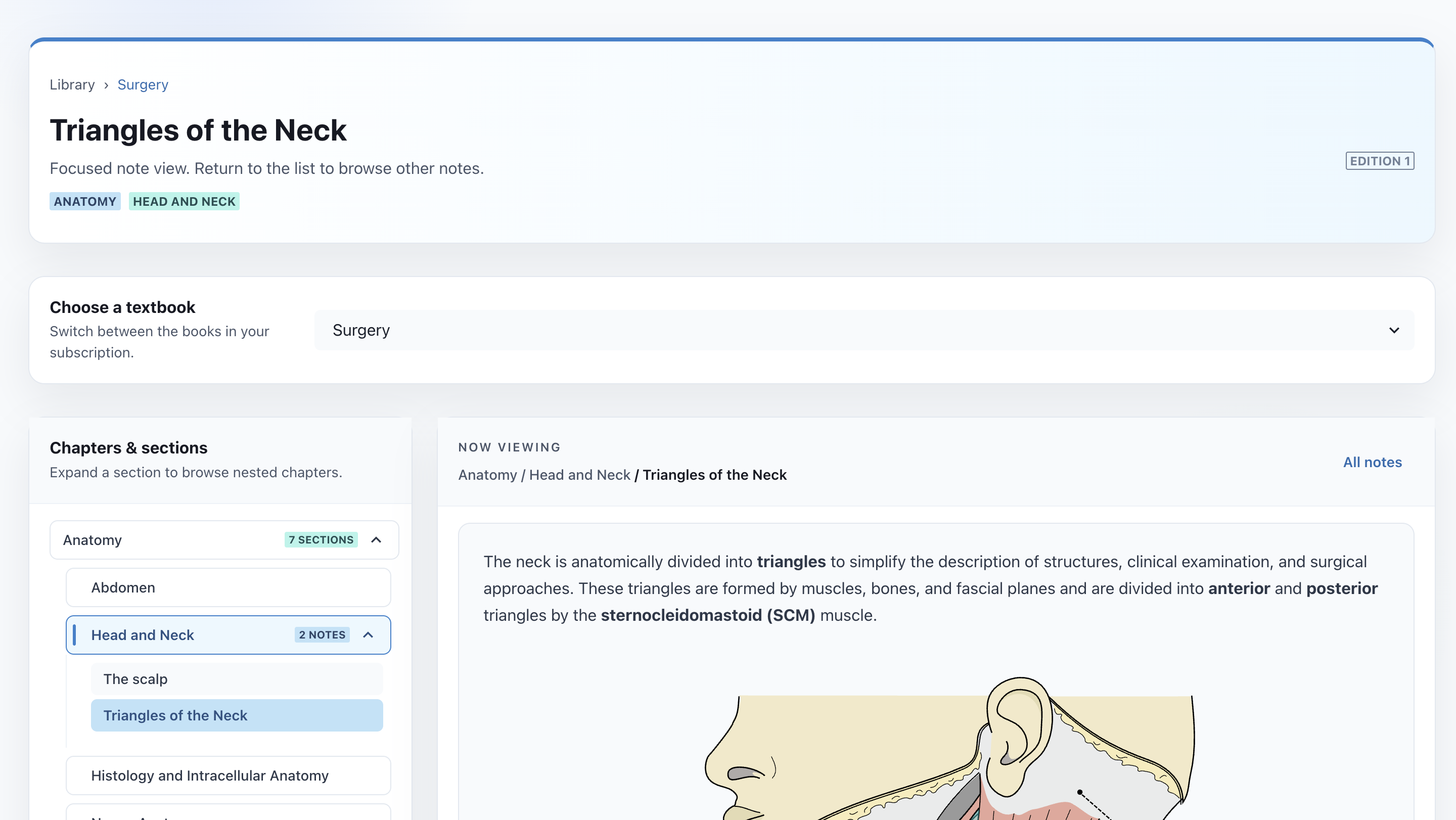 Exam-Level Question Design