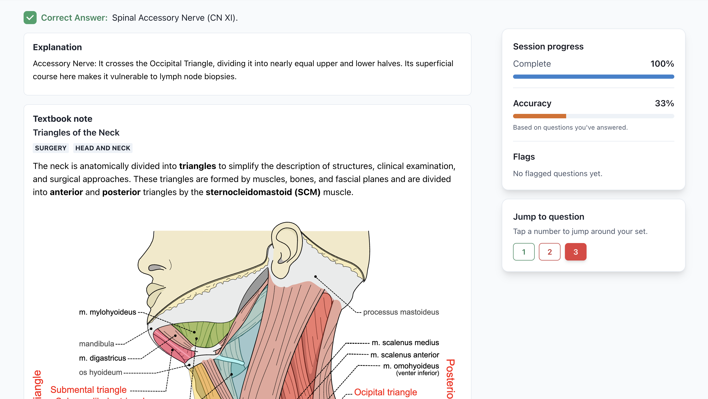Detailed Explanations That Teach